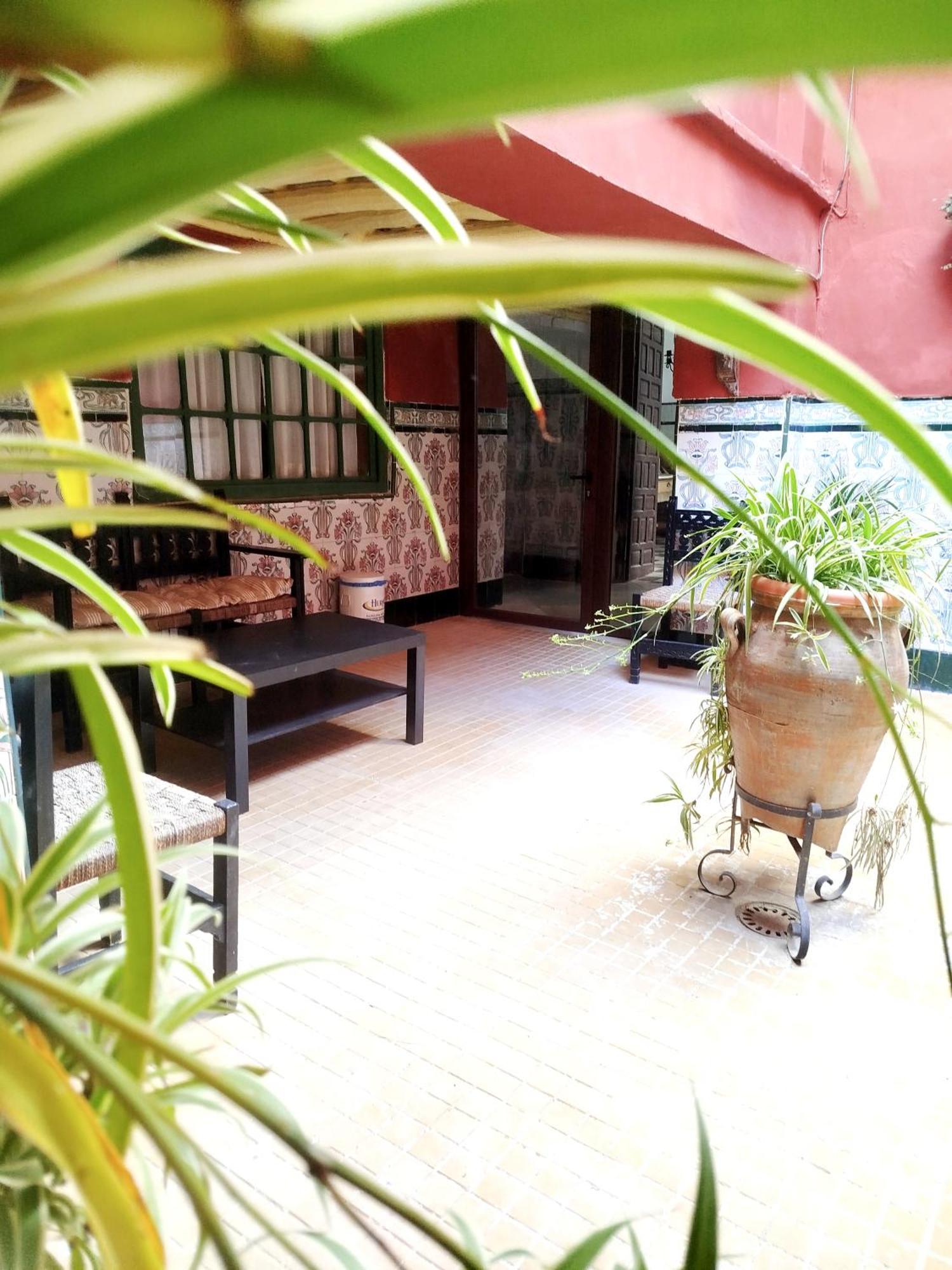 Casa Palacio Domus Astigi (Adults Only) 埃希哈 外观 照片