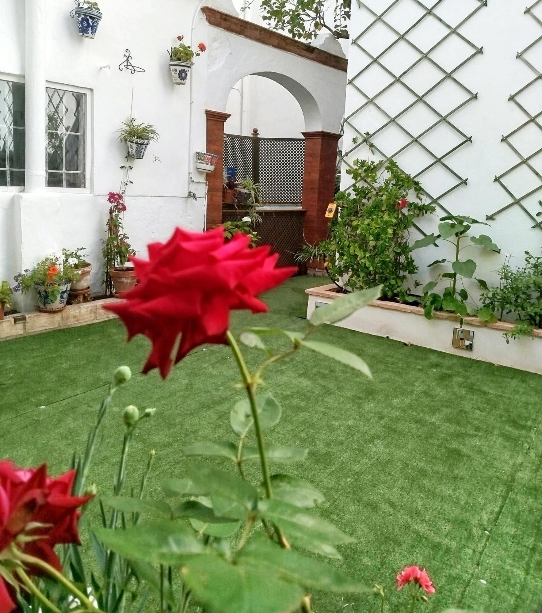 Casa Palacio Domus Astigi (Adults Only) 埃希哈 外观 照片